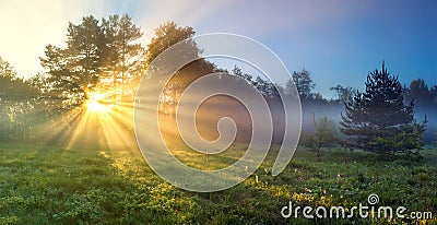 Panorama landscape with sun and forest and meadow at sunrise Stock Photo