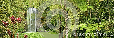 Beautiful panorama of Millaa waterfall, Australia Stock Photo