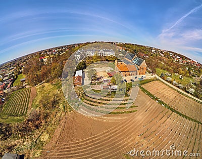 Beautiful panoramic aerial drone view to the Sandomierz Royal Castle - planting vines in the vineyard of St. Jakub - near the Stock Photo