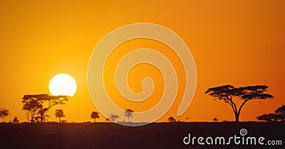 Beautiful panoramic african sunset in the Serengeti Park savannah plains, Tanzania, Africa Stock Photo