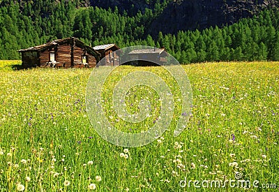 Beautiful panoramic postcard view of picturesque rural mountain scenery in the Alps with traditional old alpine mountain cottages Stock Photo