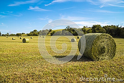 Beautiful panoramic view of afield with straw bales and a blue sky with clouds Stock Photo