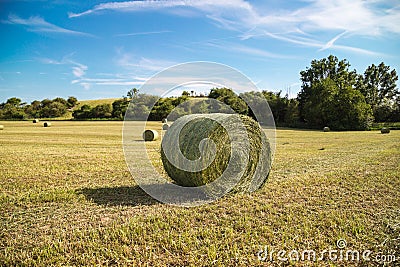 Beautiful panoramic view of afield with straw bales and a blue sky with clouds Stock Photo