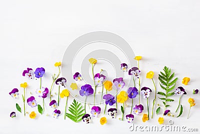 Beautiful pansy violet summer flowers flatlay on white Stock Photo