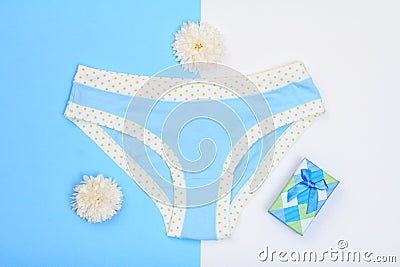Beautiful panties with gift box and flowers on blue and white background. Women underwear set. Stock Photo