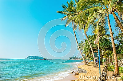 Beautiful paradise beach with tall palm trees Stock Photo