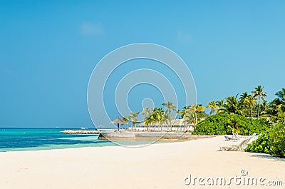 Beautiful paradise beach with tall palm trees and blue sky Stock Photo