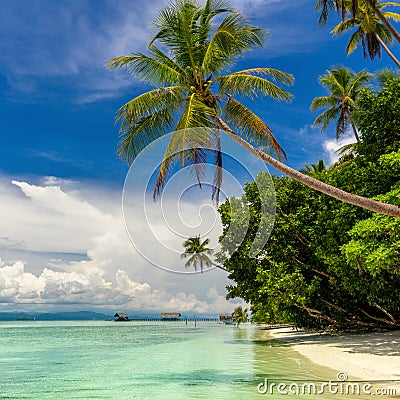 Beautiful Paradise Island - landscape of tropical beach - calm ocean, palm trees, blue sky Stock Photo