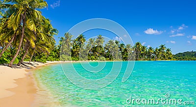 beautiful paradisiacal beach with palm trees in high definition with crystal clear waters Stock Photo