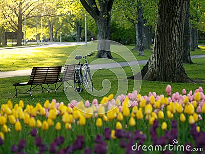 Beautiful park in spring Stock Photo