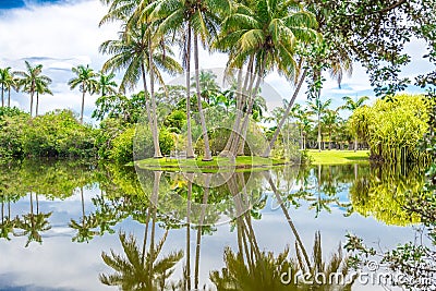 Beautiful park with tropical nature and palms Stock Photo