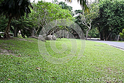 Beautiful park Stock Photo