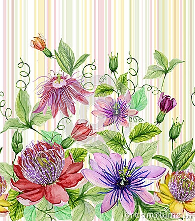 Beautiful passion flowers passiflora with green leaves on pastel striped background. Seamless floral pattern. Watercolor paintin Cartoon Illustration