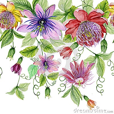 Beautiful passion flowers passiflora with green leaves on white background. Seamless floral pattern. Watercolor painting. Cartoon Illustration