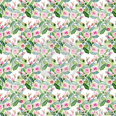 Beautiful pastel gentle delicate tender cute elegant lovely floral colorful spring summer pink roses with buds, wildflowers and gr Cartoon Illustration