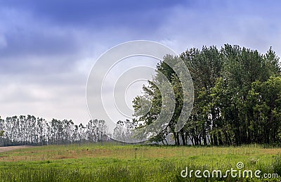 Beautiful pasture in Michigan USA Stock Photo