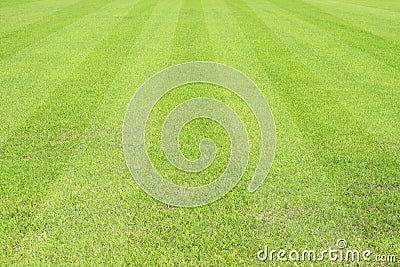 Beautiful pattern of fresh green grass for football sport Stock Photo