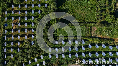 Beautiful pattern of many solar panels, that staying on the ground Stock Photo