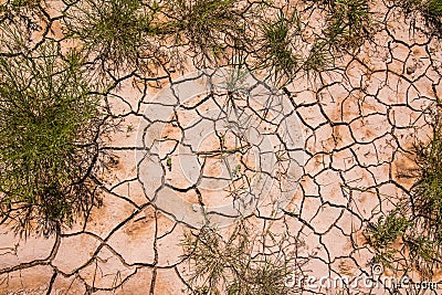 Beautiful patterns created in the dried mud / rock and shrubs found in the wilderness of the Badlands National Park Stock Photo