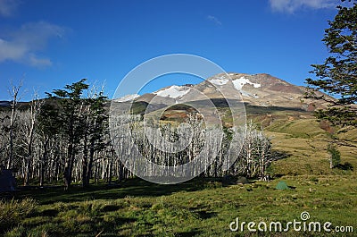 Beautiful peaceful mountain scenery, View of volcan Puyehue from camping at Refugio El Caulle in Puyehue National Park Stock Photo