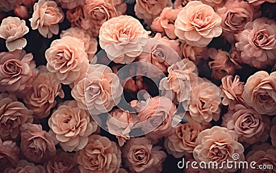 Beautiful peach-colored floral wallpaper Stock Photo