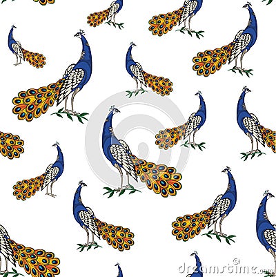 Beautiful Peacock pattern on white Vector Illustration
