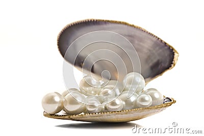 Beautiful pearls in a seashell Stock Photo