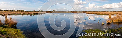 Beautiful peat landscape with the name `Amsterdamsche Veld Stock Photo