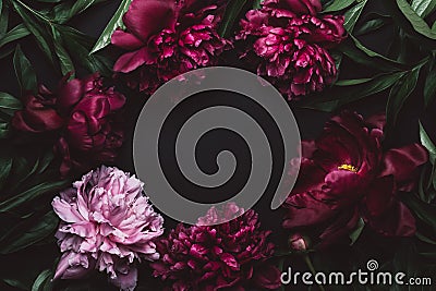 Beautiful peonies frame in dark colors. Black Floral background. Festive flowers concept. Soft focus, copy space Stock Photo