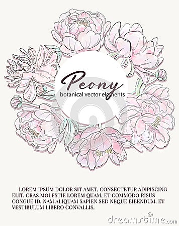 Beautiful peonies illustration. Watercolor peony flowers decoration.Beautiful bouquet Spring greeting card or wedding invitation. Vector Illustration