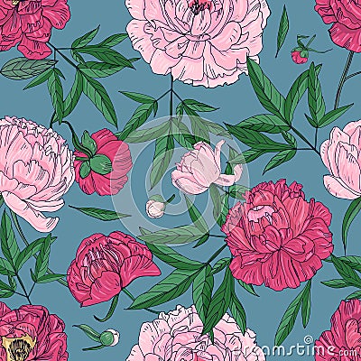 Beautiful peonies seamless pattern. Hand drawn blossom flowers, buds and leaves. Colorful vector illustration. Vector Illustration