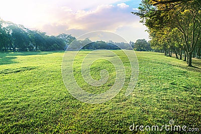 Beautiful perspective landscape of green environment park and sm Stock Photo