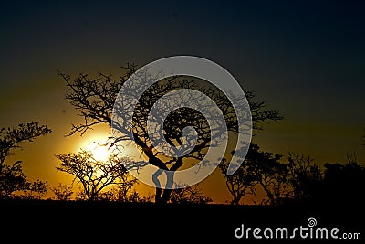 Beautiful Sunset at Welgevonden Game Reserve South Africa Stock Photo