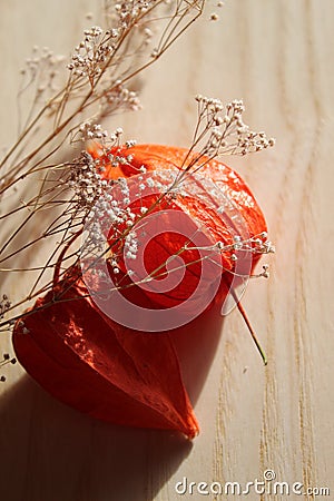 Beautiful physalis on a light background Stock Photo