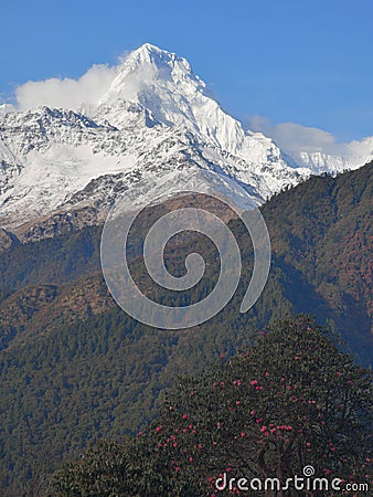A beautiful picture of Annapurna Peaks, Poon Hill, Nepal Stock Photo