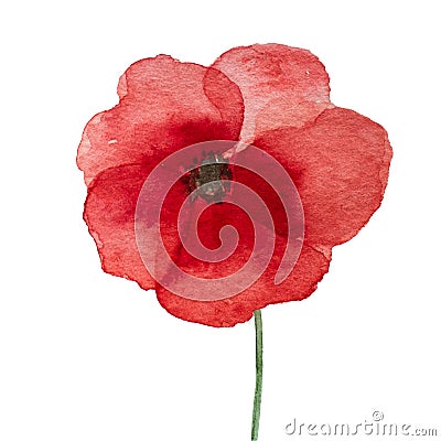 Beautiful picture of poppy flowers. Happy Remembrance Day Stock Photo