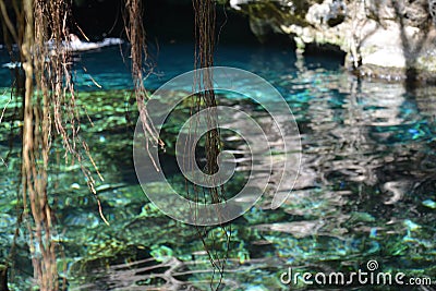 Cenote Azul near Tulum Mexico Stock Photo