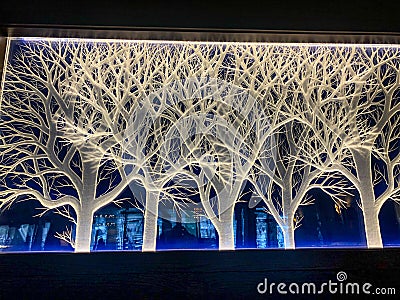 Lighted white trees with blue background picture Stock Photo