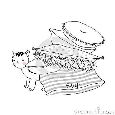 Beautiful pillows and cat Vector Illustration