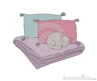 Beautiful pillows and cat on a white background. Vector Illustration