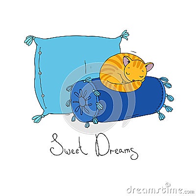 Beautiful pillows and cute cat Vector Illustration