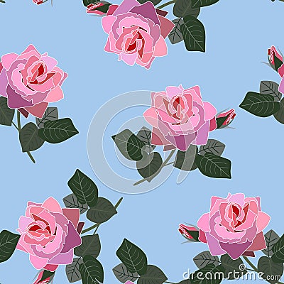 Beautiful pink blooming isolated rose flowers on sky blue background. Vintage seamless floral pattern in vector. Print for fabric Vector Illustration