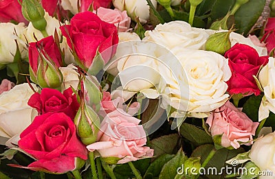 Beautiful pink flowers background texture. Rose bouquet Stock Photo