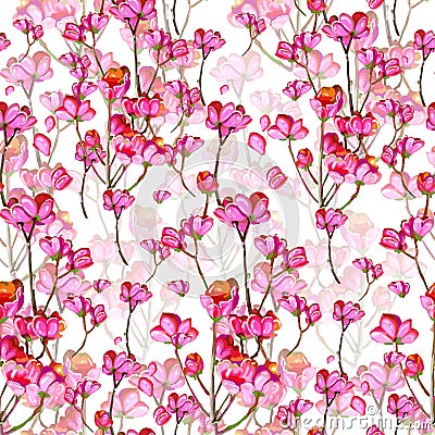 beautiful pink flowers Vector Illustration