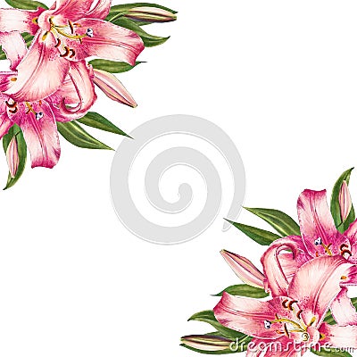 Beautiful pink lily corner frame. Bouquet of flowers. Floral print. Marker drawing. Cartoon Illustration