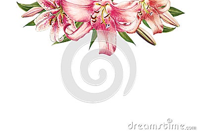 Beautiful pink lily upper frame. Bouquet of flowers. Floral print. Marker drawing. Cartoon Illustration