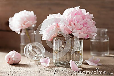 Beautiful pink peony flowers bouquet in vase Stock Photo