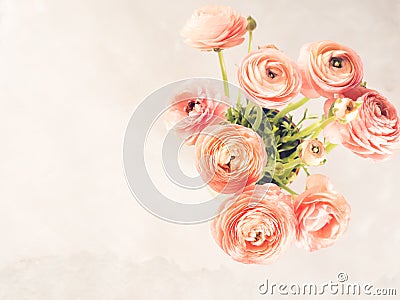 Beautiful pink ranunculus bouquet Stock Photo