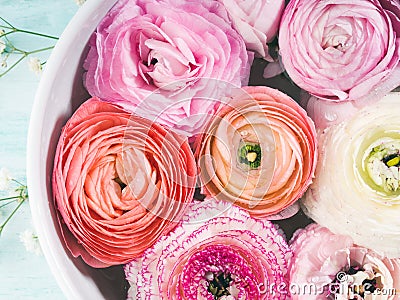 Beautiful pink ranunculus in bowl with water Stock Photo