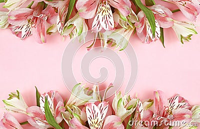 Beautiful pink rose and alstroemeria flowers on coral paper Stock Photo